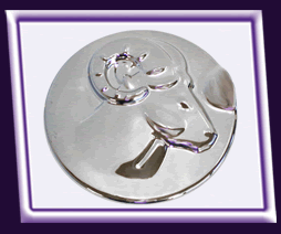 Fuel Door Cover Guards Stainless Steel w/ Diamonds